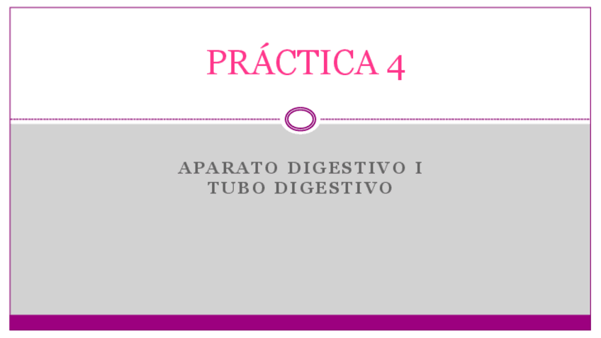 Miniatura del documento PRACTICA-4.pdf