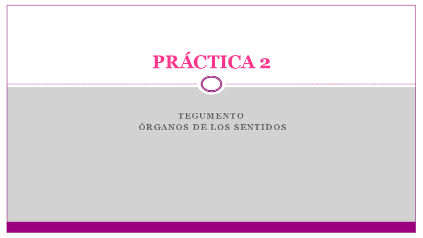 Miniatura del documento PRACTICA-2.pdf