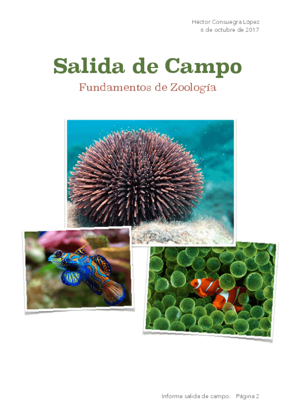 Miniatura del documento INFORME-SALIDA-CAMPO-.pdf