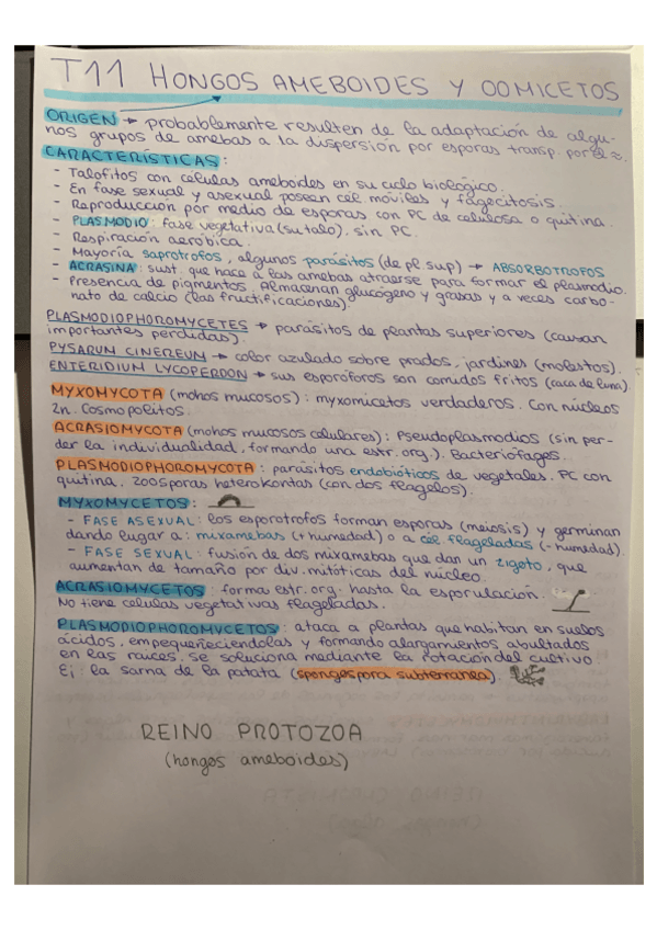 Miniatura del documento LETI-T11.pdf