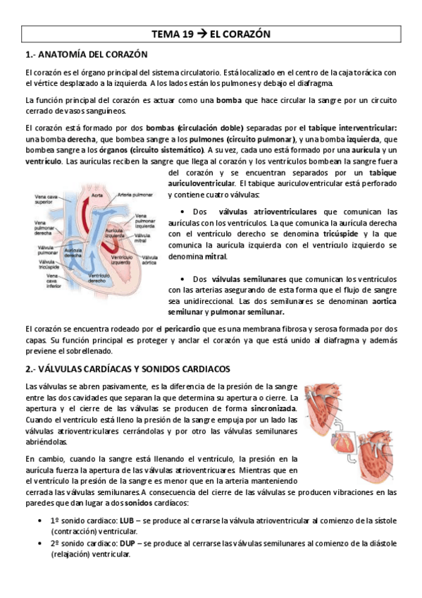 Miniatura del documento TEMA-19-el-corazon.pdf