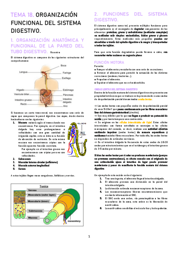 Miniatura del documento TEMA-18.pdf