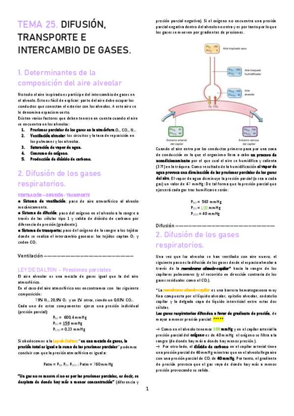 Miniatura del documento TEMA-25.pdf