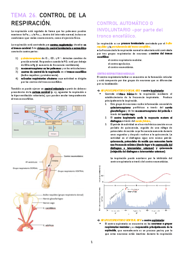 Miniatura del documento TEMA-26.pdf