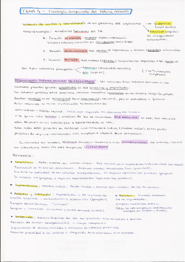 Miniatura del documento T5.pdf