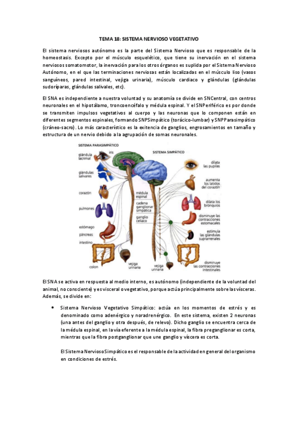 Miniatura del documento TEMA-18.pdf