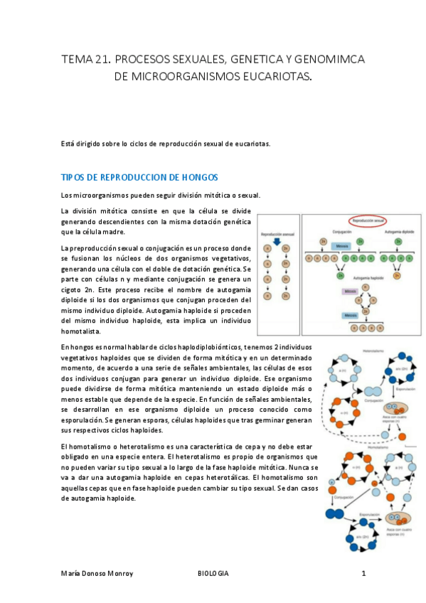 Miniatura del documento MICRO-I-T.pdf