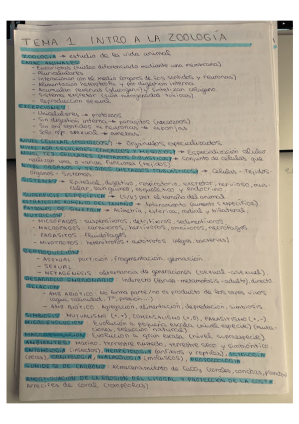 Miniatura del documento T1-ZOO.pdf
