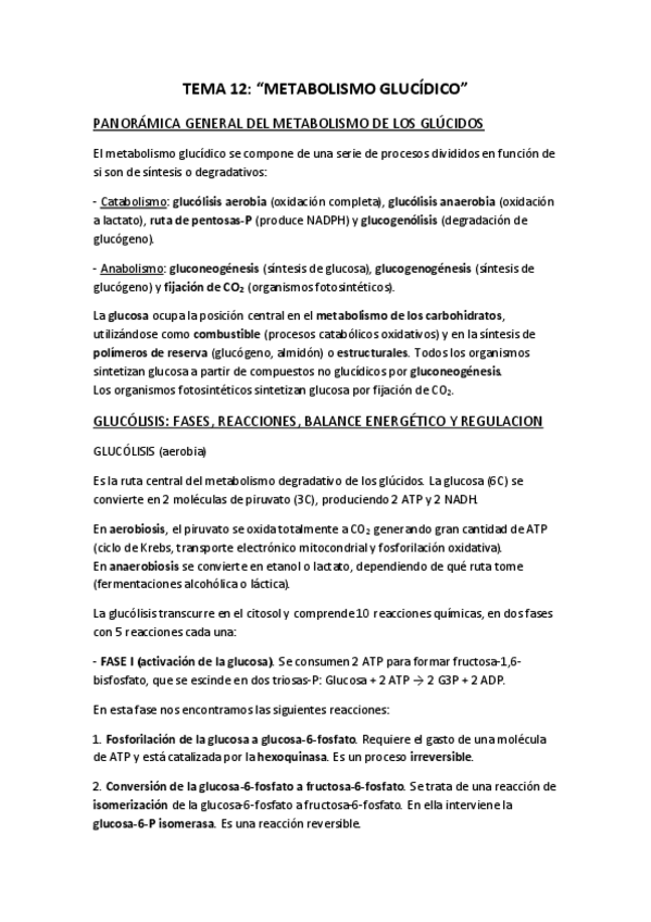 Miniatura del documento BIOQUIMICA-TEMA-12.pdf