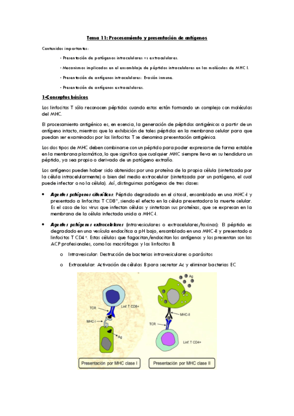 Miniatura del documento tema11presentacionantigenos.pdf