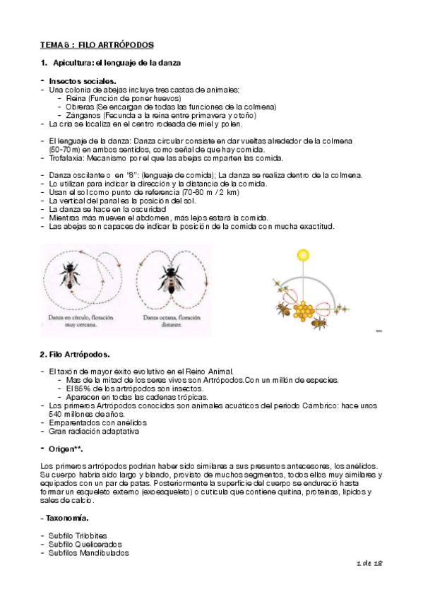 Miniatura del documento Tema-8-Biologia-Cyta-1o.pdf