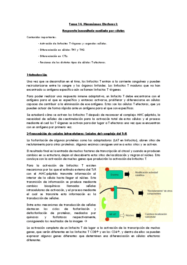 Miniatura del documento tema14respcelular.pdf