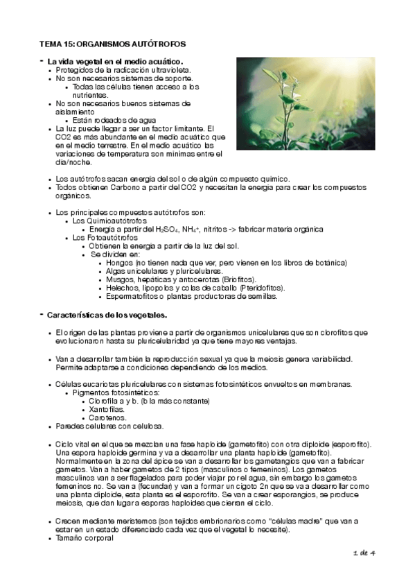 Miniatura del documento Tema-15-Biologia-Cyta-1o.pdf