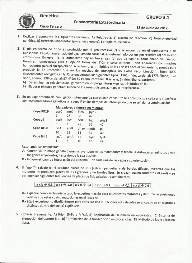 Miniatura del documento 1.1.JPG