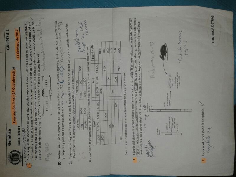 Miniatura del documento IMG_0215.JPG