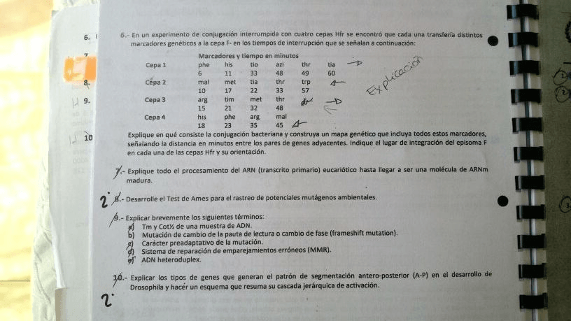 Miniatura del documento _..jpg