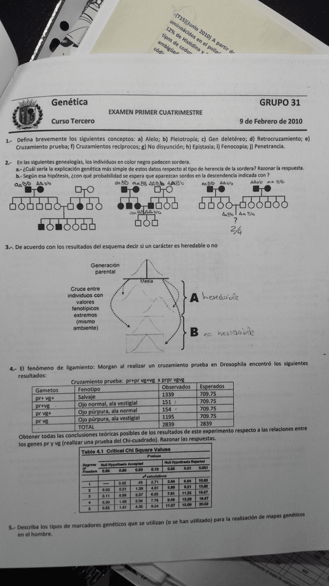 Miniatura del documento 2010 febrero.jpg