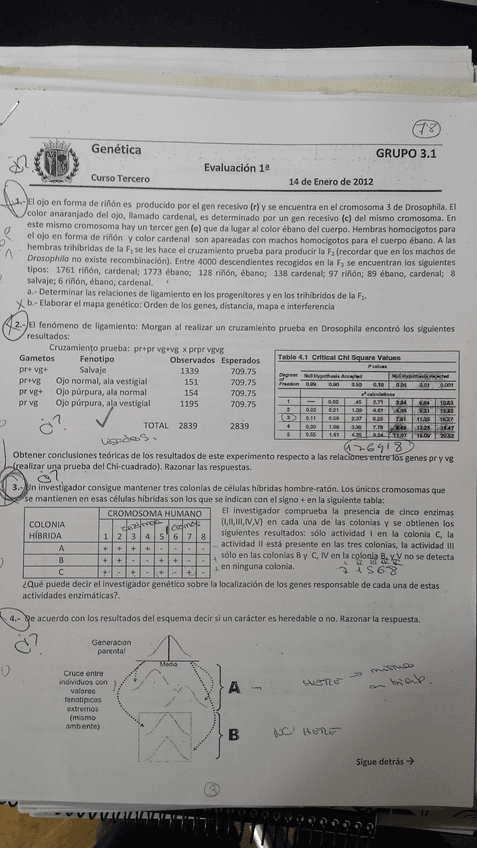 Miniatura del documento 2012. enero.jpg