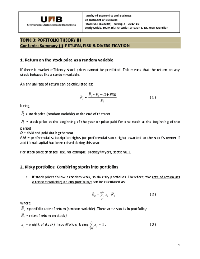 Miniatura del documento T31SummaryIReturn-Risk-Diversification.pdf