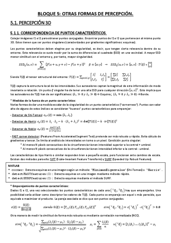 Miniatura del documento Apuntes-Bloque-5-Otras-formas-de-percepcion.pdf