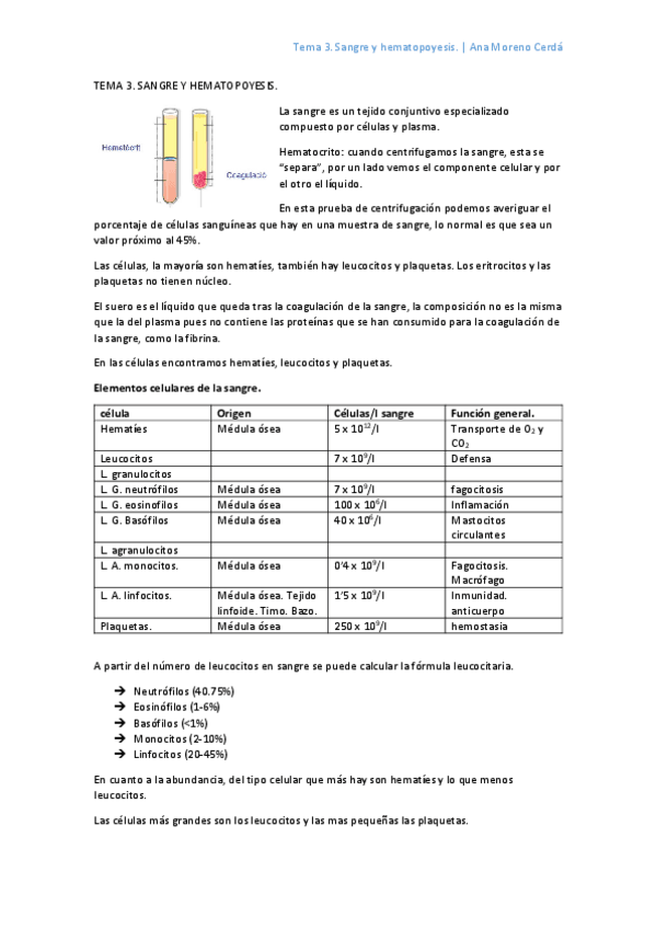 Miniatura del documento 3-Sangre-y-hematopoyesis.pdf