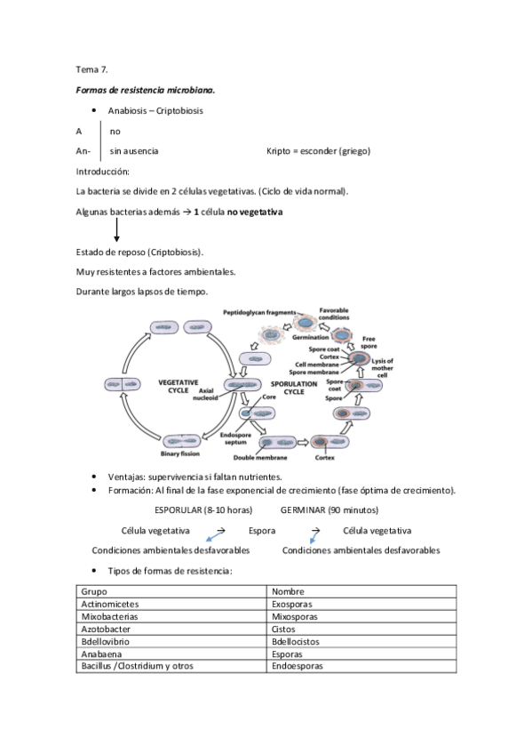 Miniatura del documento Tema 7.pdf