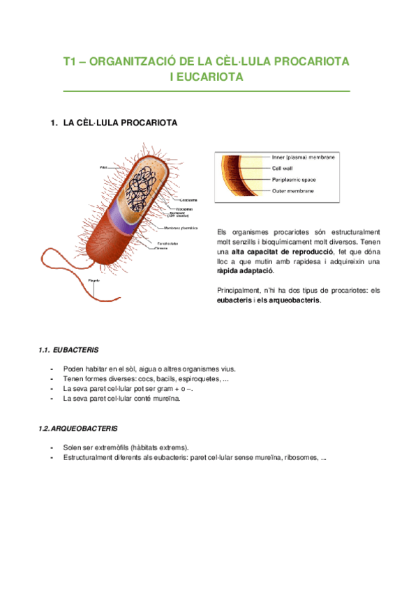 Miniatura del documento Biologia-Cellular-1r-Parcial.docx