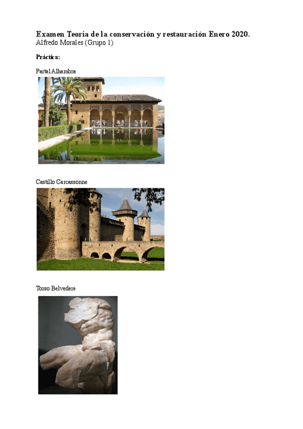 Miniatura del documento Examen-Teoria-de-la-conservacion.pdf