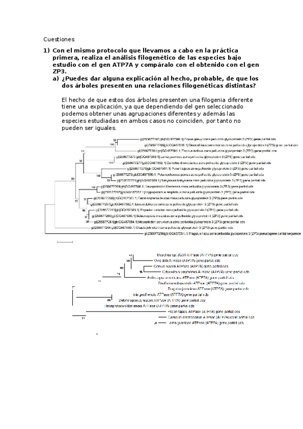 Miniatura del documento Bioinformatica.docx