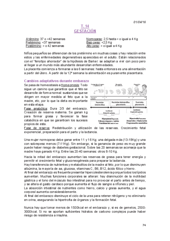 Miniatura del documento Temas 14 al 18 23 al 26 y T. 30.pdf