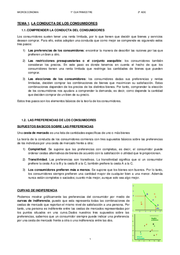 Miniatura del documento MICRO-TEMA-1.docx