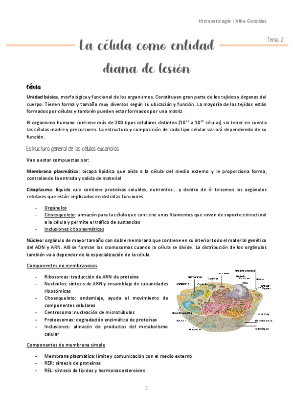 Miniatura del documento Tema-2-Celula.pdf