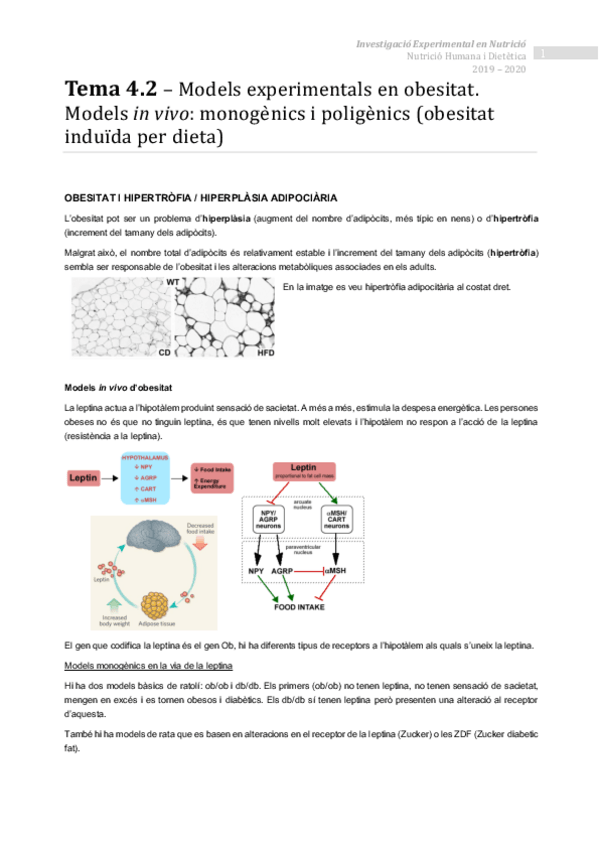 Miniatura del documento Tema-4.pdf