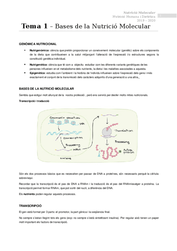 Miniatura del documento Tema-1-Bases-de-la-nutricio-molecular.docx