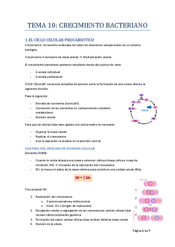 Miniatura del documento TEMA_10_MICRO_I_RODELAS.pdf