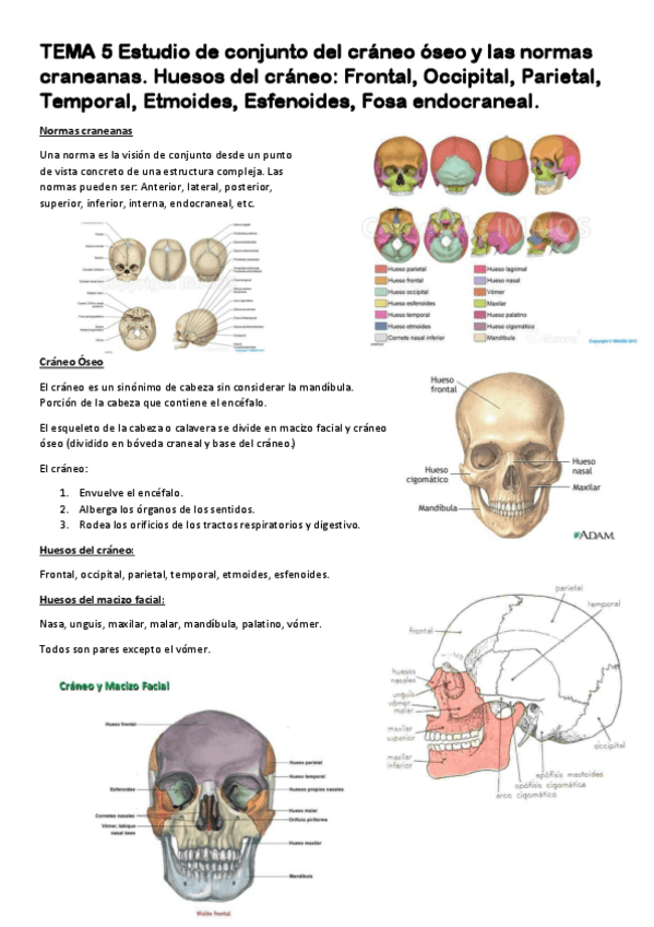 Miniatura del documento TEMA-5-2.pdf
