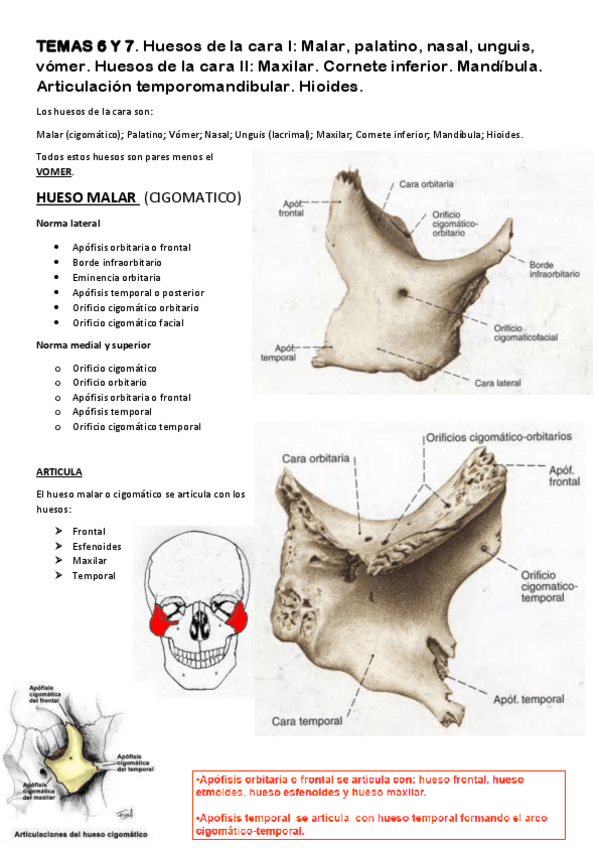 Miniatura del documento TEMA-6-Y-7-1.pdf