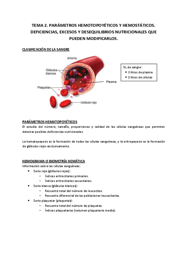 Miniatura del documento Tema 2.pdf