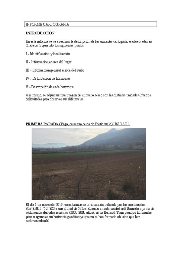 Miniatura del documento INFORME-CARTOGRAFIA.pdf