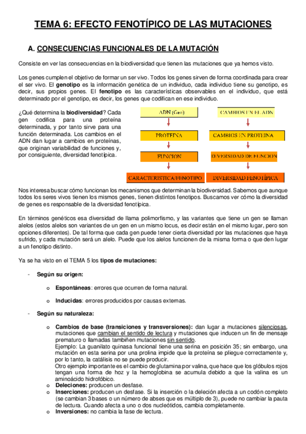 Miniatura del documento Tema-6-Efecto-fenotipico-de-las-mutaciones.pdf