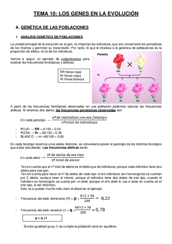 Miniatura del documento TEMA-10-Los-genes-en-la-evolucion.pdf