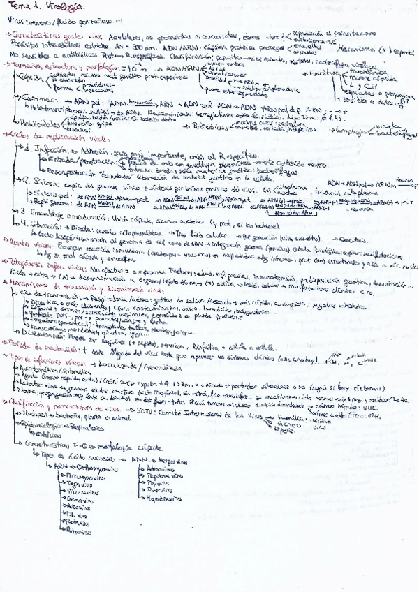 Miniatura del documento Virologia.pdf