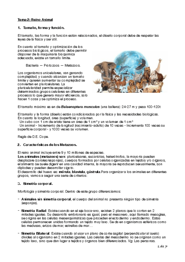 Miniatura del documento Tema-2-Biologia-Cyta-1o-copia.pdf