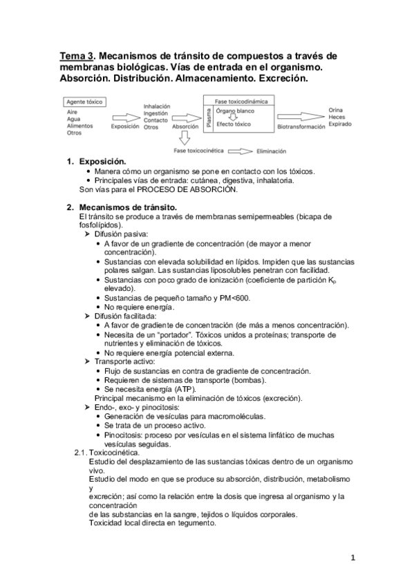 Miniatura del documento Tema-3.pdf