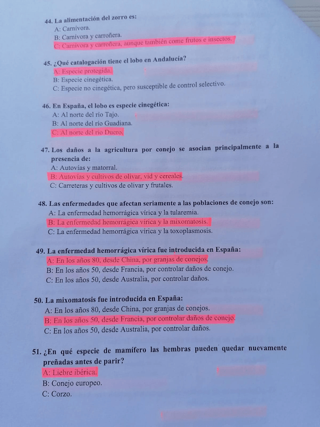 Miniatura del documento 6.jpg