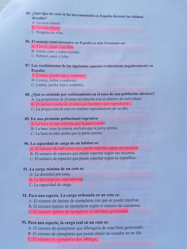 Miniatura del documento 11.jpg