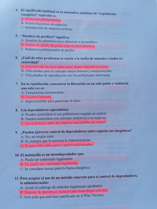 Miniatura del documento 13.jpg