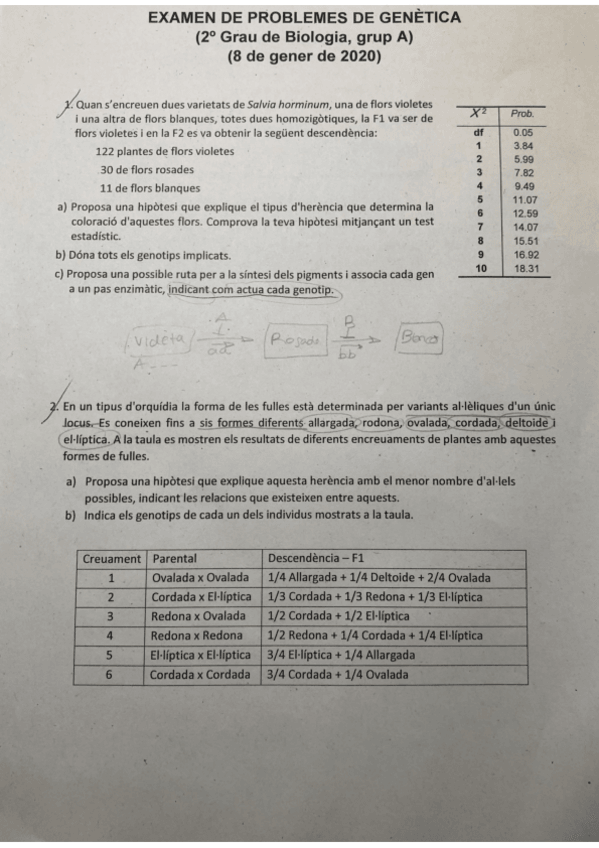 Miniatura del documento examen-problemas-genetica-1-convocatoria.pdf