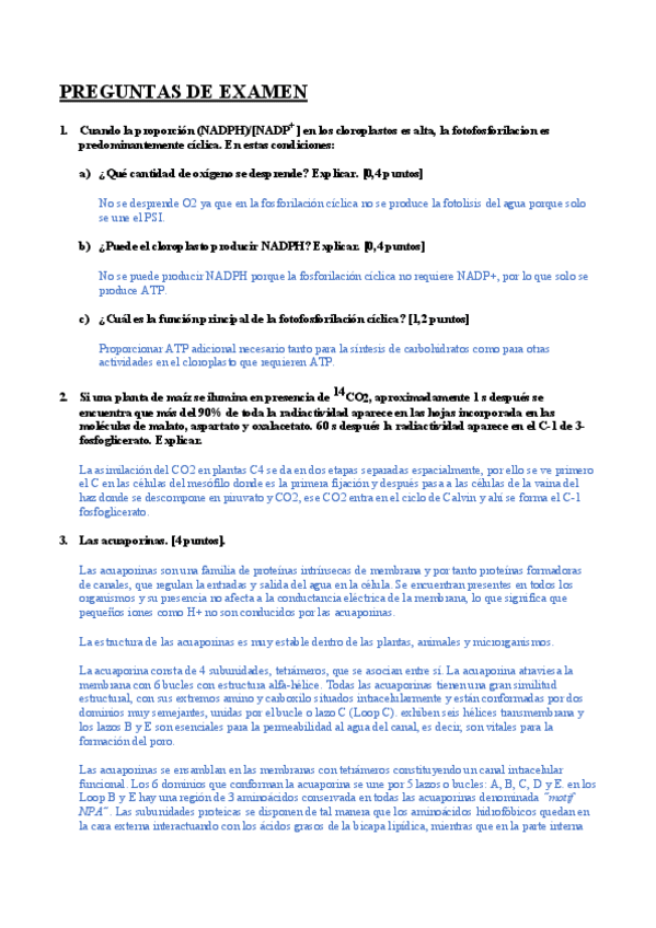Miniatura del documento PREGUNTAS-PARTE 1.pdf