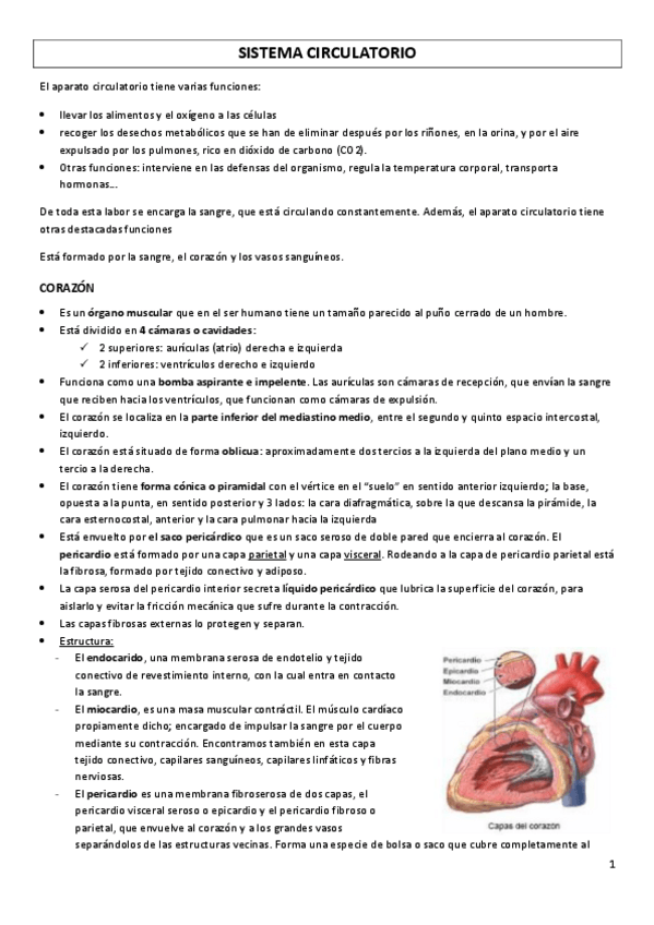 Miniatura del documento SISTEMA-CIRCULATORIO-Y-LINFATICO.pdf